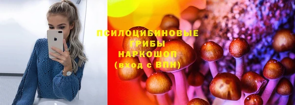 прущие грибы Арсеньев