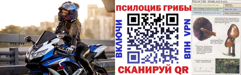 магазин  наркотиков  blacksprut онион  Псилоцибиновые грибы ЛСД  Светлогорск 